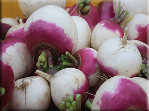 Heirloom Turnip Seeds - (Brasica rapa)