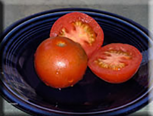 Bulgarian Triumph Tomato