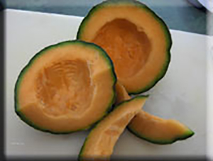 Golden Gopher Melon