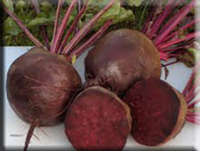 Ruby Queen Beet from Heritage Harvest Seed