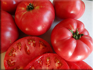 Pruden’s Purple Tomato