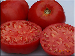 Heirloom Tomato Seeds - Canning