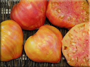 Orange Russian 117 Tomato