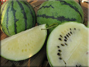 Cream of Saskatchewan Watermelon