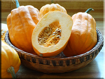 Heirloom Squash Seeds - (C. pepo)