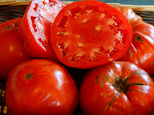 Ashleigh Tomato