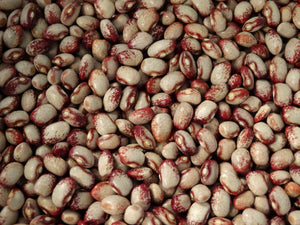 Amish Nuttle Bean (pre-1800)