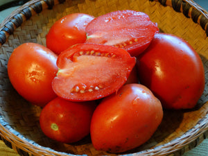 Amish Paste Tomato