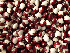 Annie Jackson Bean