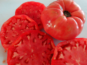 Bear Claw Tomato