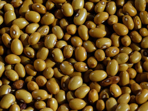 Beka Brown Bean