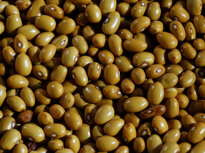 Beka Brown Bean