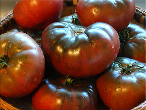 Black Krim Tomato