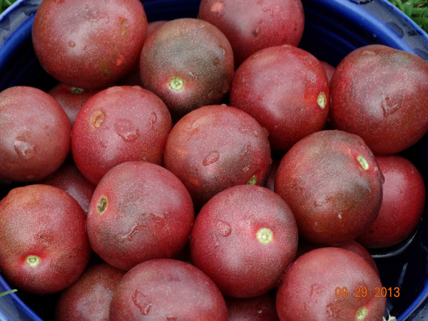Heirloom Tomato Seeds - Black/Purple