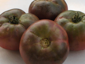 Black Early Tomato