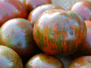 Black Zebra Tomato