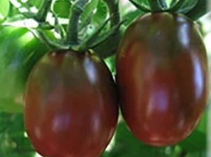 Black Plum Tomato