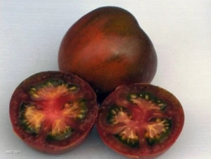 Black Prince Tomato
