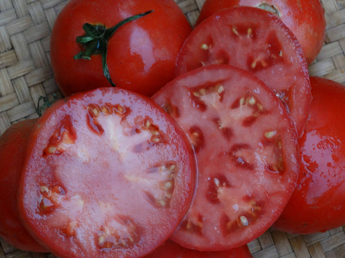 Bonny Best Tomato (1908)