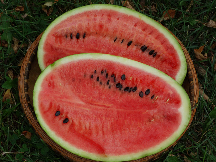 Bozeman Watermelon