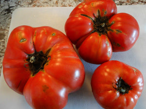 Buist's Monarch Tomato (1913)