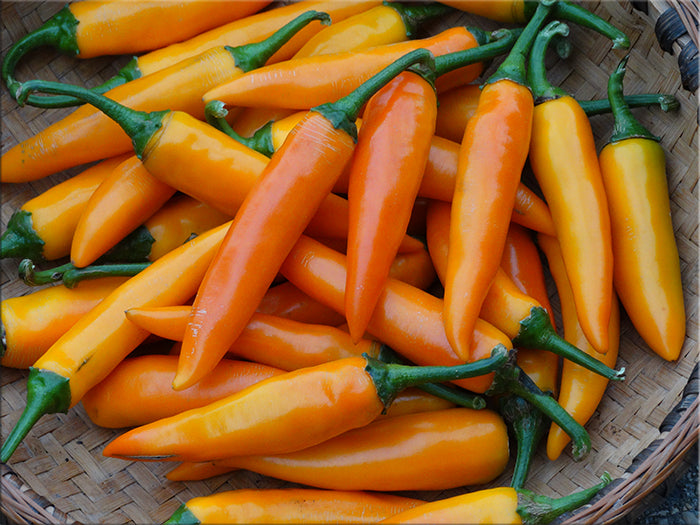 Bulgarian Carrot Pepper