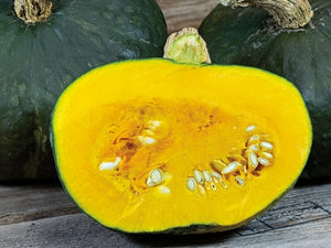 Burgess Buttercup Squash (1931) (C.Maxima)