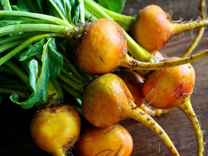 Burpee’s Golden Beet (1940’s)