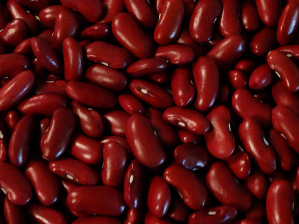 Heirloom Bean Seeds - Bush