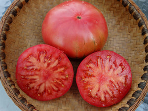 Caspian Pink Tomato