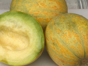 Cershownski Melon