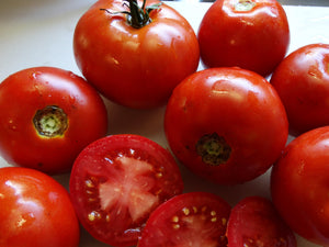 Charlie’s Red Staker Tomato