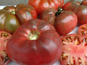Cherokee Chocolate Tomato