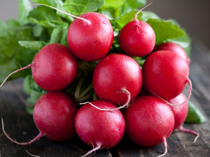 Cherry Belle Radish (1949)