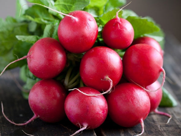 Heirloom Radish Seeds - (Raphanus sativus)