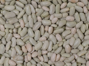 Chevrier Verte Bean (1878)