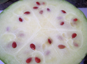 Heirloom Citron Seed Seeds - (Citrullus lanatus var. citroides)