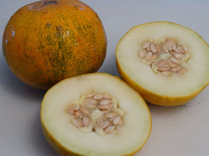 Collective Farm Woman Melon