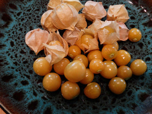 cossack pineapple ground cherry plant Cossack Pineapple – Heritage Harvest Seed