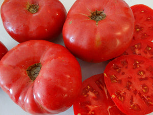 Crynkovic Yugoslavian Tomato