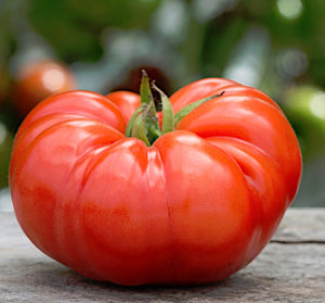 Cuostralee Tomato