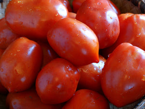 Cup of Moldova Tomato