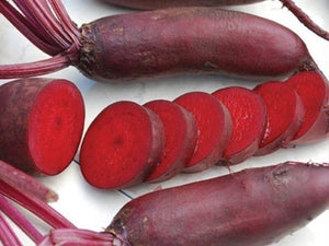 Cylindra Beet