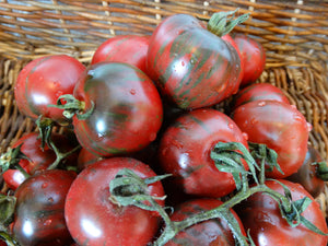 Black Vernissage Tomato