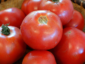 Delicious Tomato