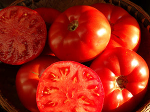Diener Tomato (1917)
