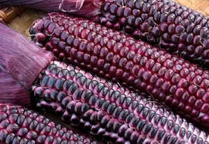 Double Red Sweet Corn