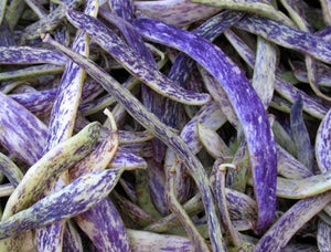 Dragon Tongue Bean