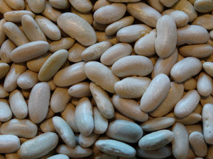 Duane Baptiste Potato Bean