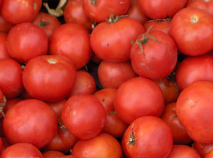 Early Annie Tomato